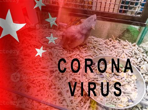 Image result for Subcutaneous Injection Mouse