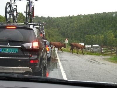 Image result for Driving Tutorial for Beginners