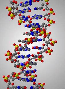 Image result for DNA 80 Box Mod