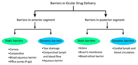 Pharmaceutics | Special Issue : Nanoparticles in Ocular Drug Delivery ...