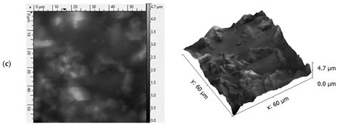 Technology of Orodispersible Polymer Films with Micronized Loratadine ...