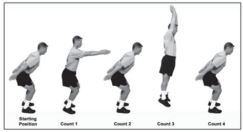 PRT Exercise 的图像结果