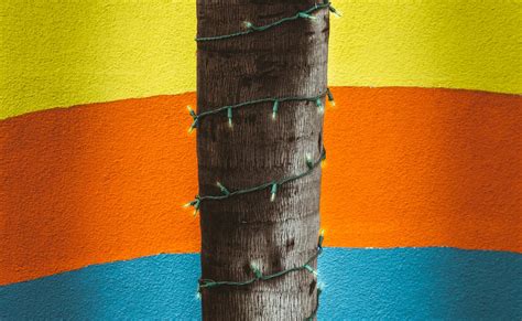 Image result for Create 3D Models in Blender Tutorial