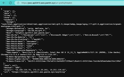 Proxy in API Gateway 的图像结果
