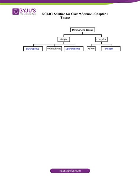 Image result for Class 9 Science Chapter 6