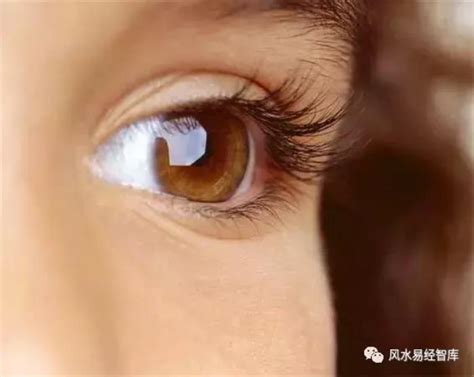 左眼跳是什么预兆，警惕身体给你的信号_楚汉网-湖北门户