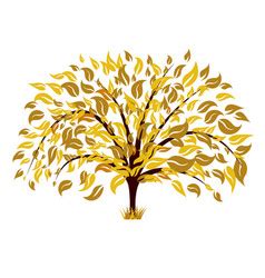 Image result for Fall Tree Vector