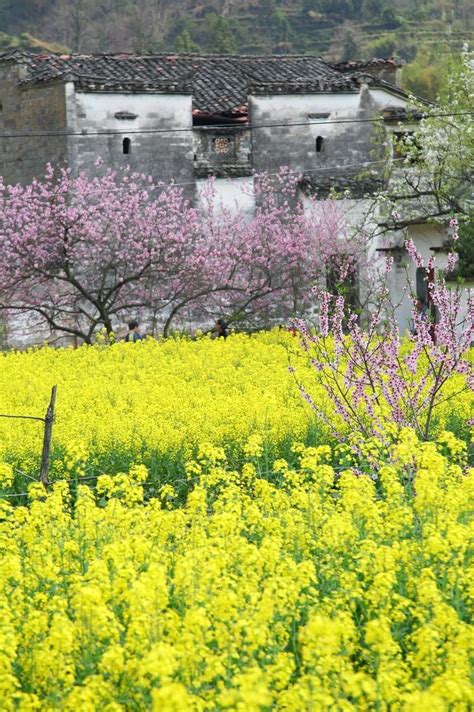 2019年春天，中国最美的30个地方 - 青岛新闻网