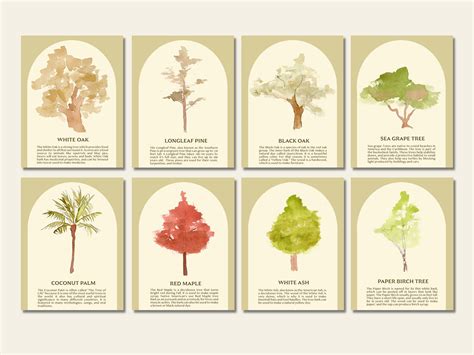 Tree Flashcard 的图像结果