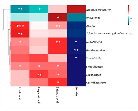 Gut Microbiota Ecological and Functional Modulation in Post-Stroke ...