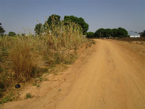 Undeveloped Land 的图像结果