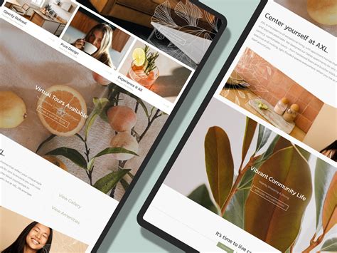 Image result for Website Add-Ons