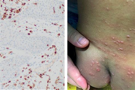 50 Facts About Anime - Facts.net