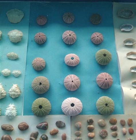 KINI AQUARIUM - All You Need to Know BEFORE You Go (with Photos ...
