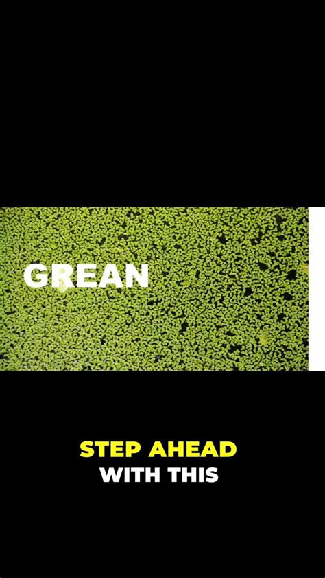 PowerPoint Morph Tutorial 的图像结果