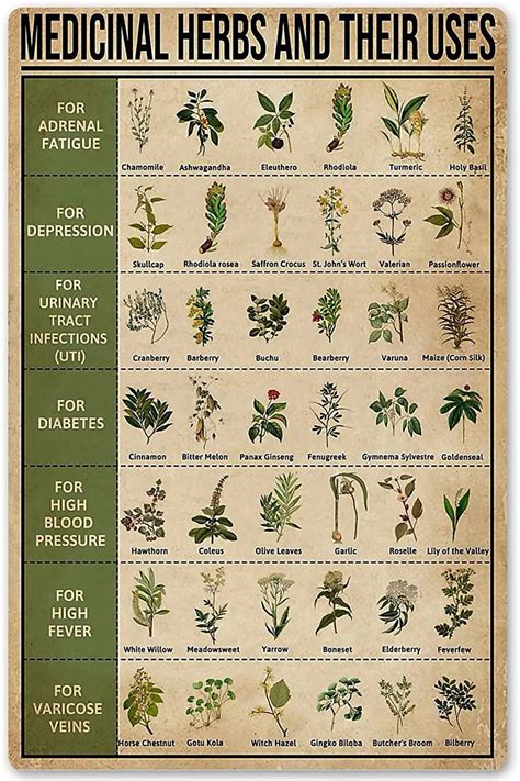 Medicinal Herbs and Their Uses, Vintage Rustic Styled House Decor ...
