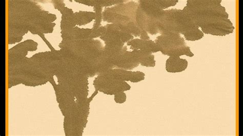 Short stories from around the world: David Davidar’s top 10 | Condé ...