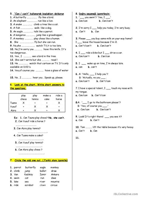 Can Worksheet 的图像结果