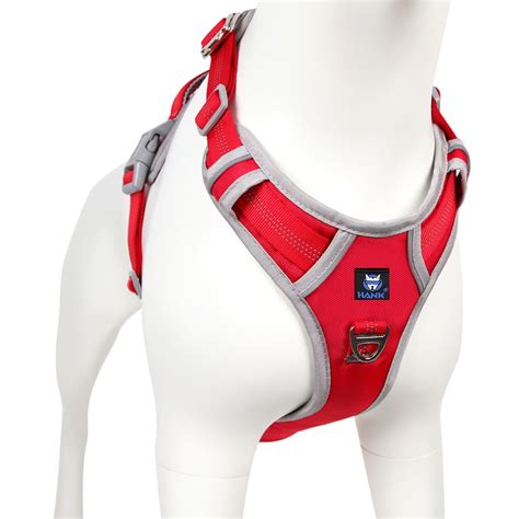 HANK Dog Harness for Small Dogs - 3M Night Reflective - 4 Adjustable ...