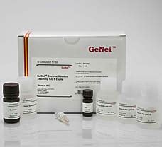 Buy GeNei Enzyme Kinetics Teaching Kit-6108900011730 6108900011730 in ...