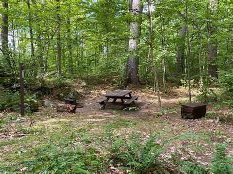Site 10, Silver Lake Campground - Recreation.gov