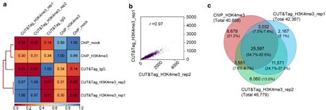 Image result for Classification Supervised or Unsupervised