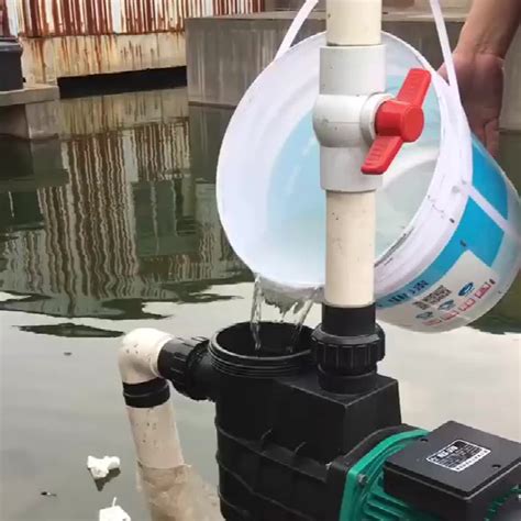 凌霄海水专用泵海鲜池循环泵水产养殖鱼缸TDA增压水泵耐腐大流量-阿里巴巴