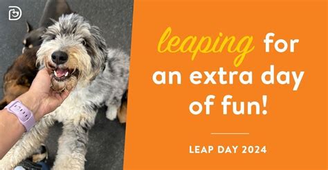 Leap Day Frog Art, 4272 Plank Rd, Fredericksburg, VA 22407-4806, United ...
