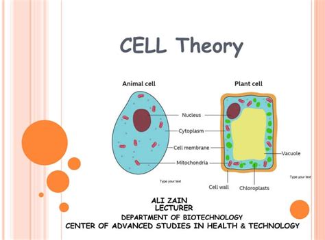 Image result for Cell Theory Explained