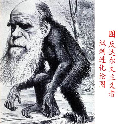 中国版无聊猿--策划猿为什么会卖“那么贵”