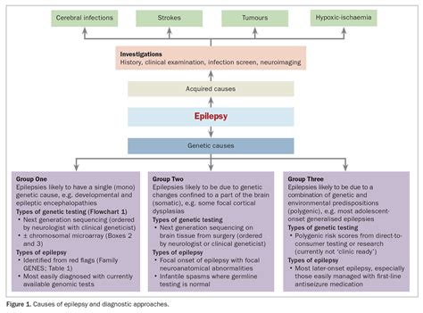 Genetic testing for epilepsy: why and when to think about it | Medicine ...
