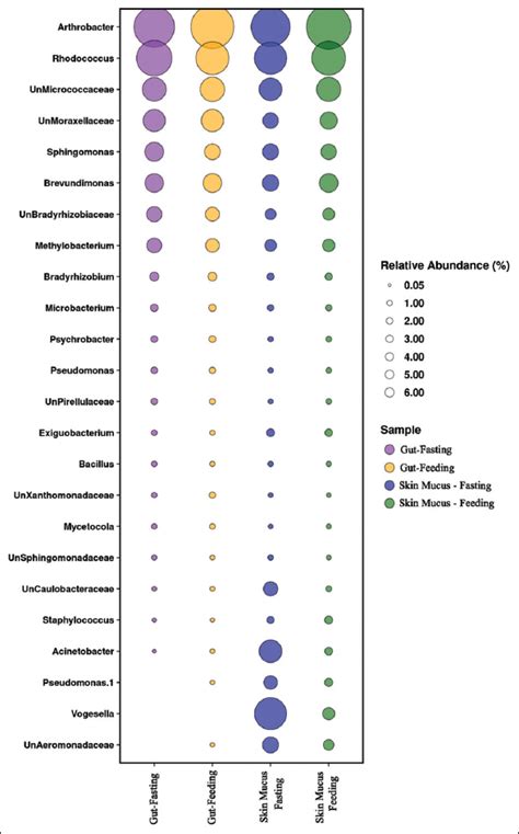 Identification of host-specific skin-mucus and gut microbiota in ...