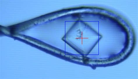 Image result for Lab On-Chip Protein Crystallisation