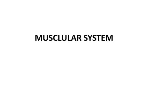 Image result for Muscular System Lecture Video