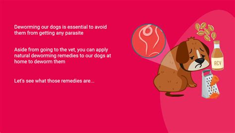 De Worming Dogs Naturally 的图像结果