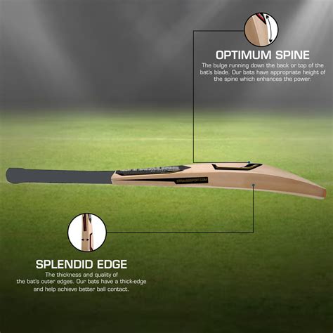 Strauss Underarm Cricket Bat | Kashmir Willow | Cricket Bat with Grip ...