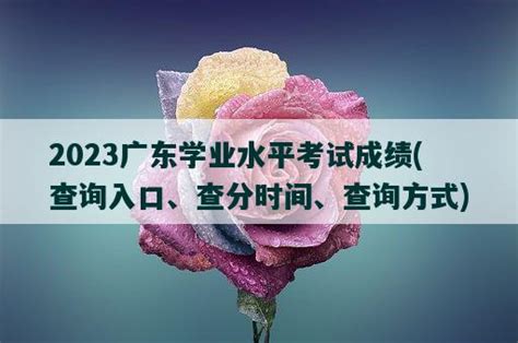 2022深圳学业水平考试成绩即将公布！附查询成绩入口_复查_考生_附件