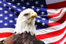 Image result for How Can I Use a or Statement in Computer Science Python
