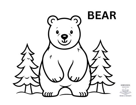 Bear Coloring Pages Colored