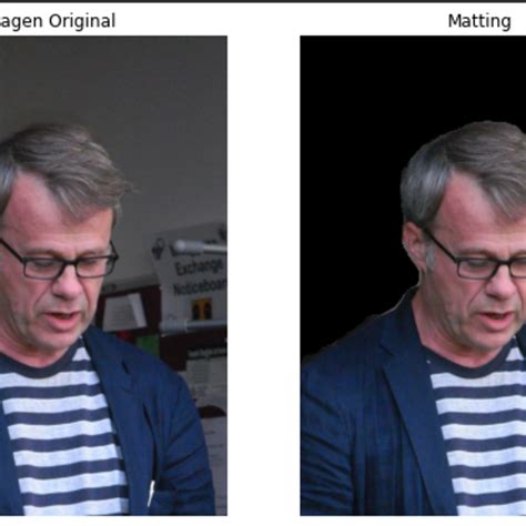 Human Matting Dataset 的图像结果