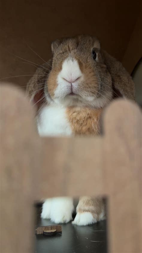 6941 best Bad Girls Club images on Pholder | Yuri Manga, Baddies South ...