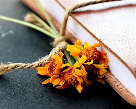 Wallis-Wilbanks Funeral Home | LaFayette, GA