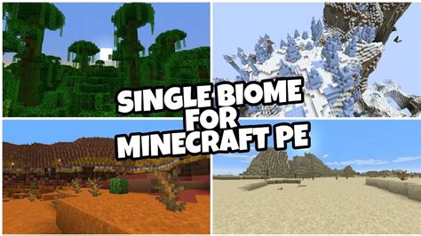 Image result for Minecraft Buffet World