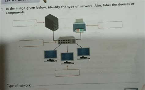 in the image given below, identify the type of network. Also, label the ...