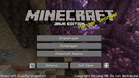 Image result for Minecraft Java Edition Information