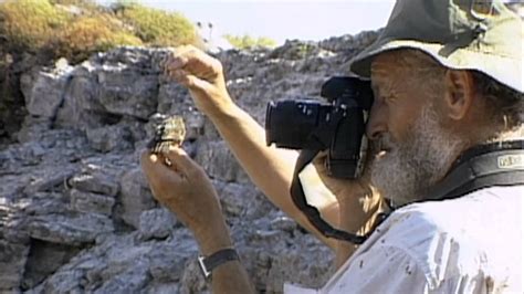 Galapagos Finch Evolution — The Wonder of Science