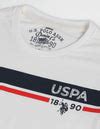 Men White Long Sleeve Brand Stripe Cotton T-Shirt – U.S. Polo Assn. India
