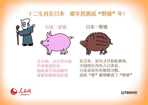 十二生肖在日本 猪年居然成“野猪”年--日本频道--人民网