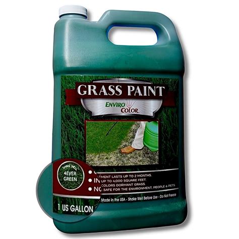 Amazon.com: EnviroColor 4EverGreen Grass and Turf Paint | 1 Gallon ...