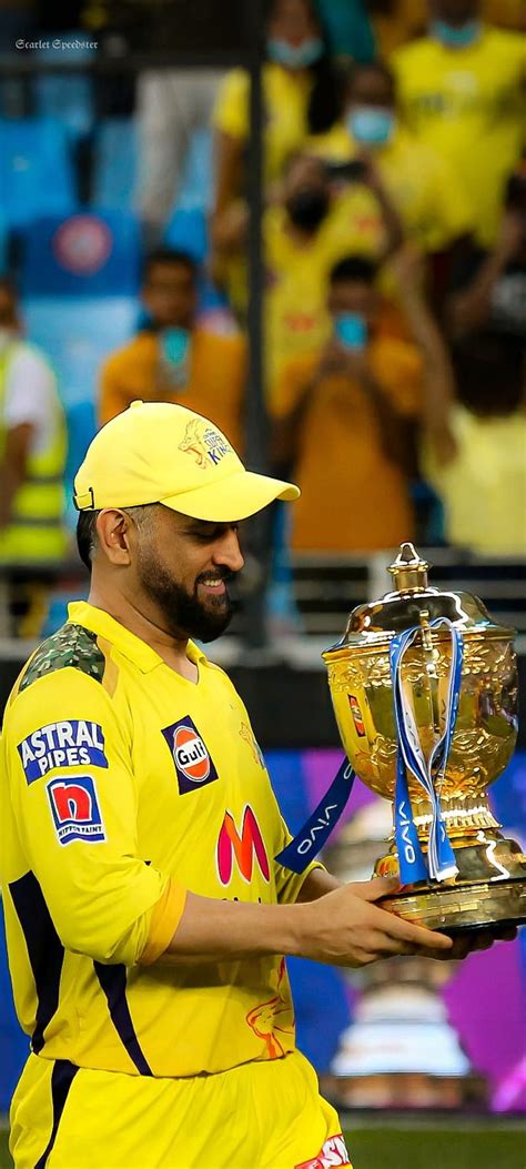 Image result for Searching Algorithms Types in Python